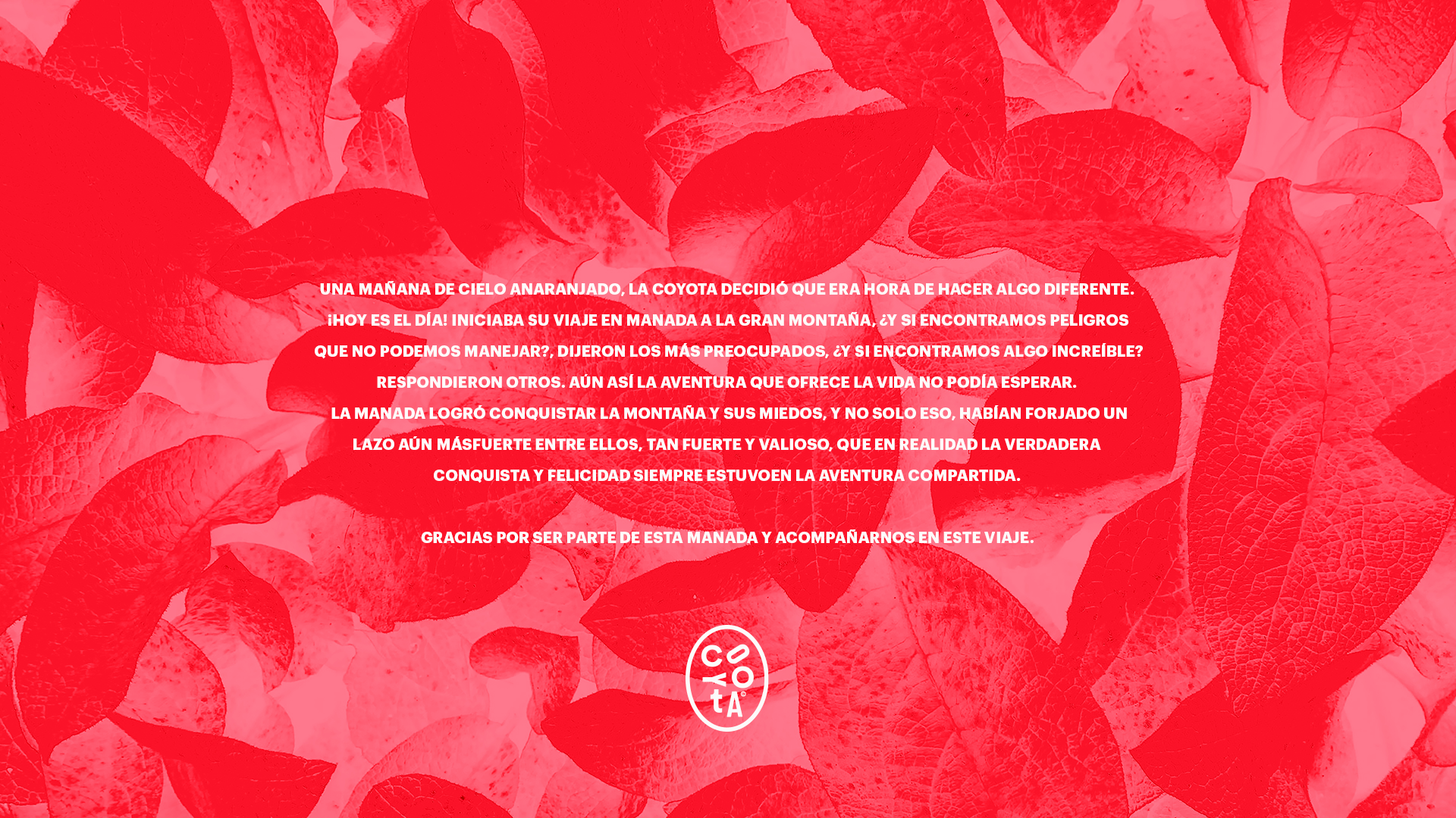 manifiesto-coyota-yoenpaperland-min