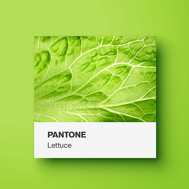 Pantone-green-yoenpaperland