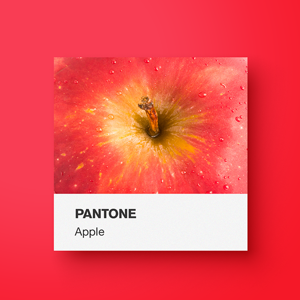 yoenpaperland-Pantone-red-cover yoenpaperland-Pantone-red-cover