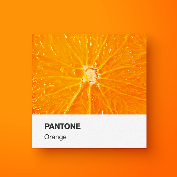 yoenpaperland-Pantone-orange-cover yoenpaperland-Pantone-orange-cover